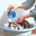 แนวทางพิชิตความกลัวน้ำของแมว ช่วยให้แมวไม่ตื่นเต้นตอนอาบน้ำ